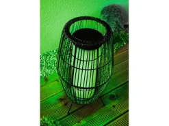 Paulmann Stehleuchte Plug & Shine Basket, RGBW, 3.2W, Schwarz