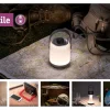 Paulmann Tischleuchte Mobile Clutch, 3000K, Akkubetrieb, Chrom