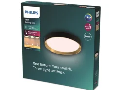 Philips Deckenleuchte Hanno SceneSwitch 2700K, 2700 Lm, Schwarz-Gold