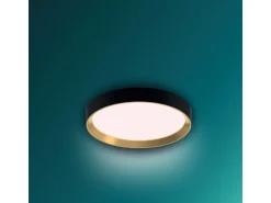 Philips Deckenleuchte Hanno SceneSwitch 2700K, 2700 Lm, Schwarz-Gold