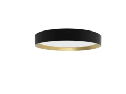 Philips Deckenleuchte Hanno SceneSwitch 2700K, 2700 Lm, Schwarz-Gold