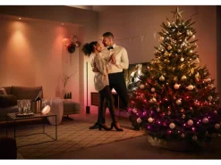 Philips Hue Festavia Lichterkette 40 m 500 LEDs CH