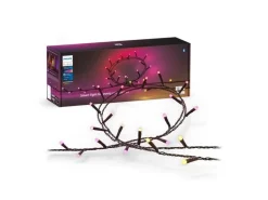 Philips Hue Festavia Lichterkette 40 m 500 LEDs CH