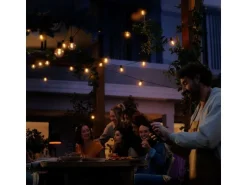 Philips Hue LED-Lichterkette Festavia Globe Outdoor 14 m CH
