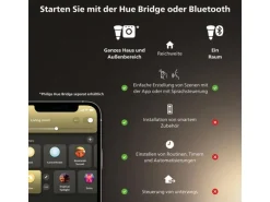 Philips Hue Leuchtmittel White E27 Einzelpack Edison Filament 580 lm