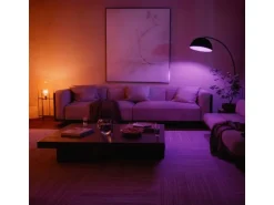Philips Hue Leuchtmittel White & Col. Amb. E27 Doppelpack 2x 1100 lm