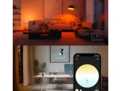 Philips Hue Leuchtmittel White & Col. Amb. E27 Doppelpack 2x 1100 lm