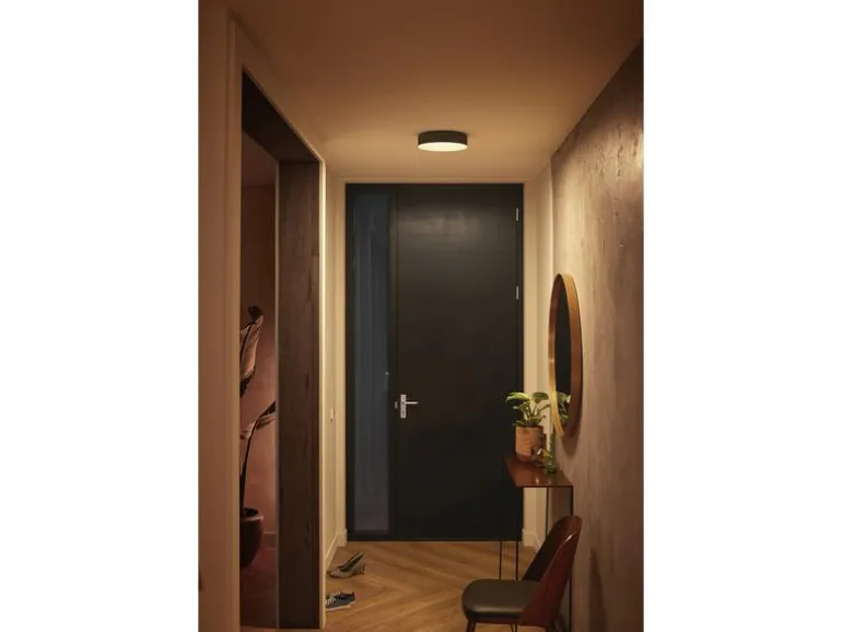 Philips Hue Play Gradient PC Lightstrip 3X 24/27 Starter Set + Bridge