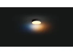 Philips Hue Play Gradient PC Lightstrip 3X 24/27 Starter Set + Bridge