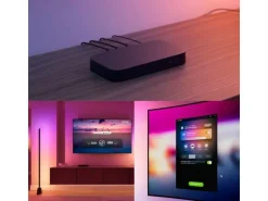Philips Hue Stehleuchte smart Play Gradient 135 cm Schwarz Kunststoff