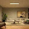 Philips Hue Surimu Panelleuchte White & Color Ambiance 120 x 30 cm