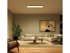 Philips Hue Surimu Panelleuchte White & Color Ambiance 120 x 30 cm
