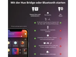 Philips Hue Tischleuchte Gradient Signe, 11.8 W, Oak