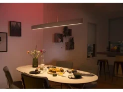 Philips Hue White Col. Amb. Ensis Pendelleuchte Weiss und DimmSwitch