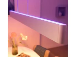 Philips Hue White Col. Amb. Ensis Pendelleuchte Weiss und DimmSwitch