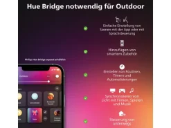 Philips Hue White & Color Ambiance Outdoor Daylo Wandleuchte Silber