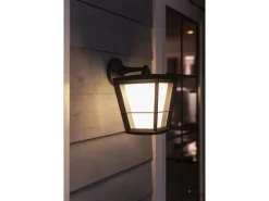 Philips Hue White & Color Ambiance Econic Outdoor Wandl. Hängend Schwarz