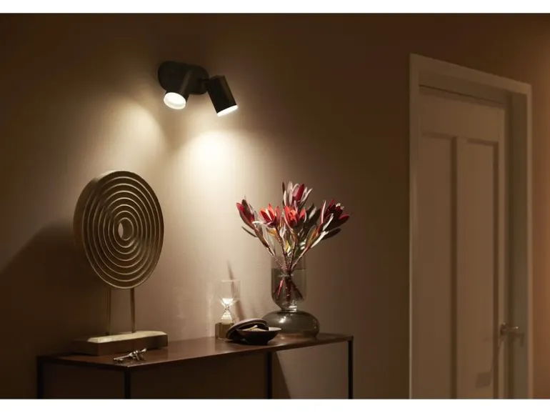 Philips Hue White & Color Ambiance Fugato 2er-Spot Schwarz