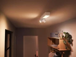 Philips Hue White & Color Ambiance Centris 2-Deckenspot Weiss