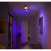 Philips Hue White & Color Ambiance Centris 2-Deckenspot Schwarz