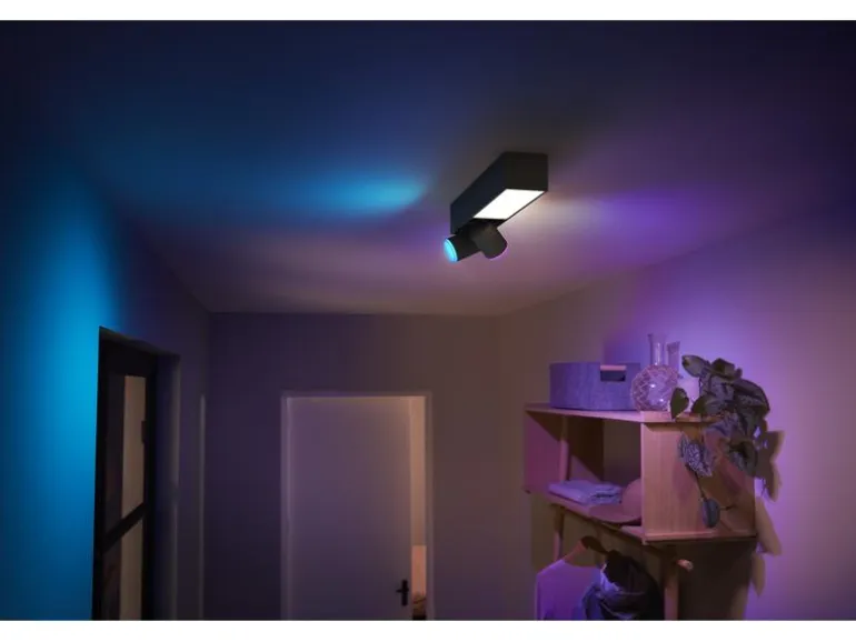 Philips Hue White & Color Ambiance Centris 2-Deckenspot Schwarz