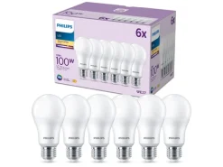 Philips Lampe LED 100W A67 E27 WW FR ND 6CT/6 EC Warmweiss (WW)