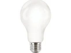 Philips Professional Lampe CorePro LEDBulb ND 120W E27 A67 840 FR G