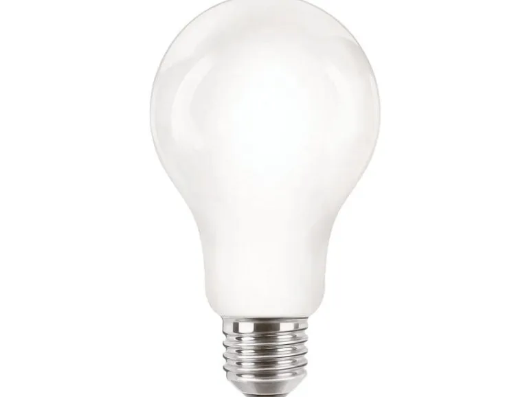 Philips Professional Lampe CorePro LEDBulb ND 120W E27 A67 840 FR G
