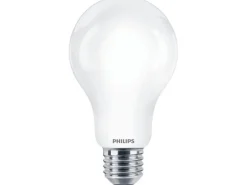 Philips Professional Lampe CorePro LEDBulb ND 150W E27 A67 827 FR G