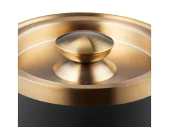 relaxdays Eiswürfelbehälter Schwarz/Gold