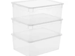Rotho Aufbewahrungsbox Men Shoe Transparent, 3 tlg.