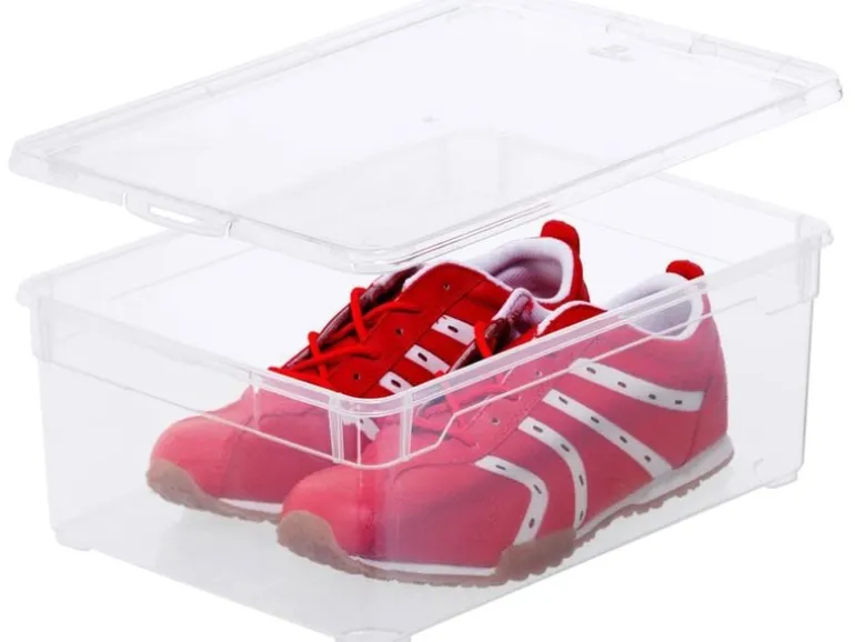 Rotho Aufbewahrungsbox Men Shoe Transparent, 3 tlg.