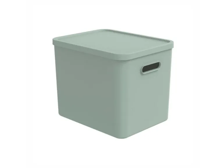 Rotho Babydesign Spielzeugbox KAYO L Sage Green