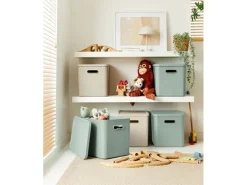 Rotho Babydesign Spielzeugbox KAYO L Sage Green