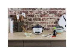 Russell Hobbs Reiskocher Mini 0.4 l
