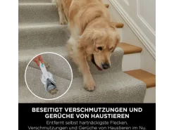 Shark StainStriker Flecken – und Polsterreiniger PX200EUT