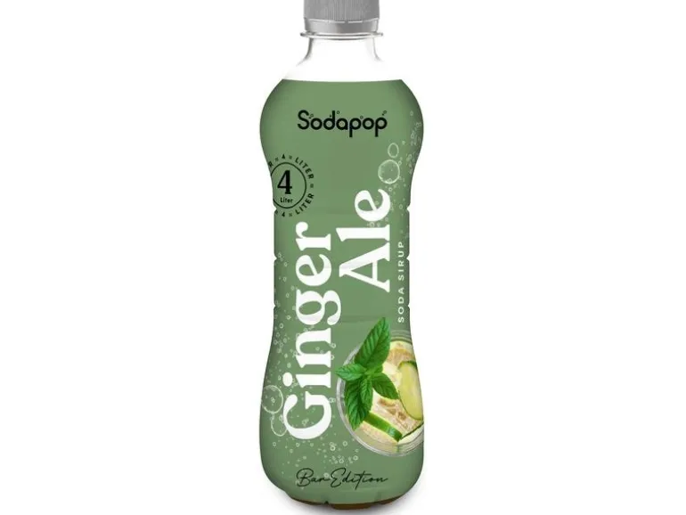 Sodapop Sirup Ginger Ale 500 ml