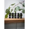 Stadler Form Duftöl Refresh Rosmarin/Zitrone, 10 ml, 1 Stück