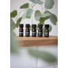 Stadler Form Duftöl Repel Citronella/Eukalyptus, 10 ml, 1 Stück