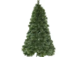 Star Trading Weihnachtsbaum Cembra, 2.4 m, Grün