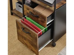VASAGLE Multifunktionswagen mit 2 Schubladen 41 x 66 cm