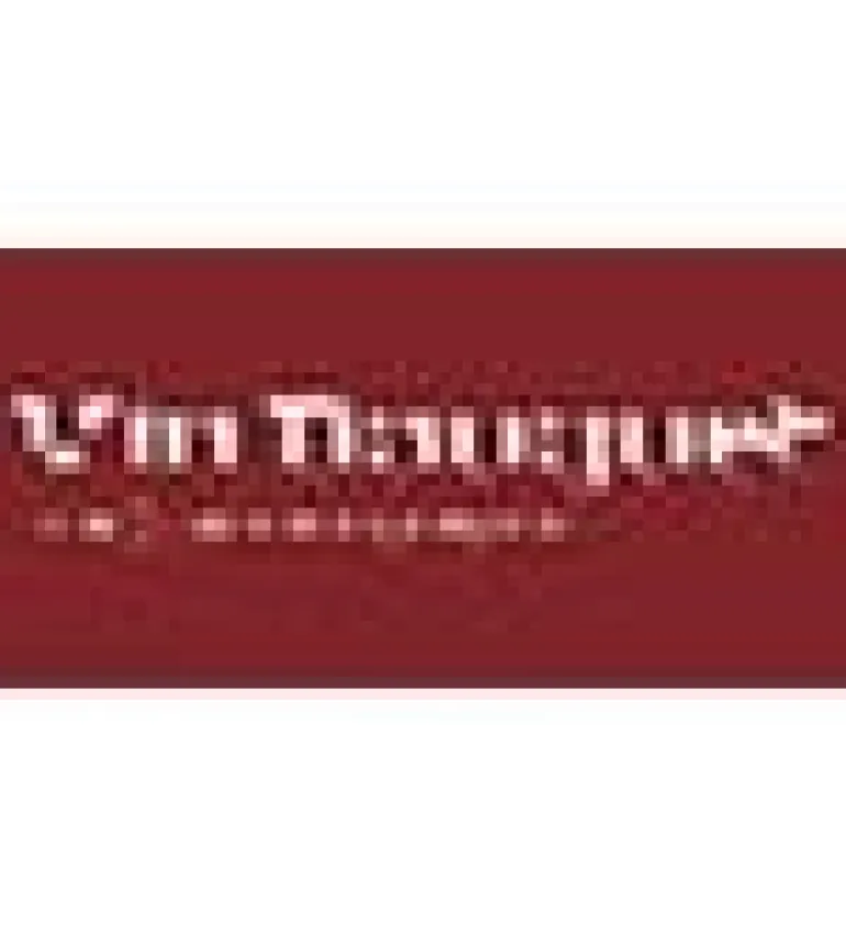 Vin Bouquet Weinpumpe Vakuumpumpe inklusive 2 Stopfen